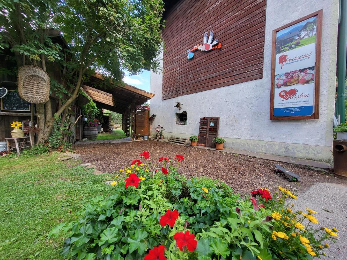 Sachserhof Ferienwohnungen In Sachsenburg Екстериор снимка