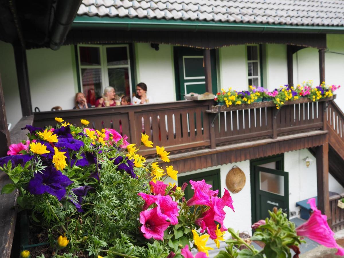 Sachserhof Ferienwohnungen In Sachsenburg Екстериор снимка